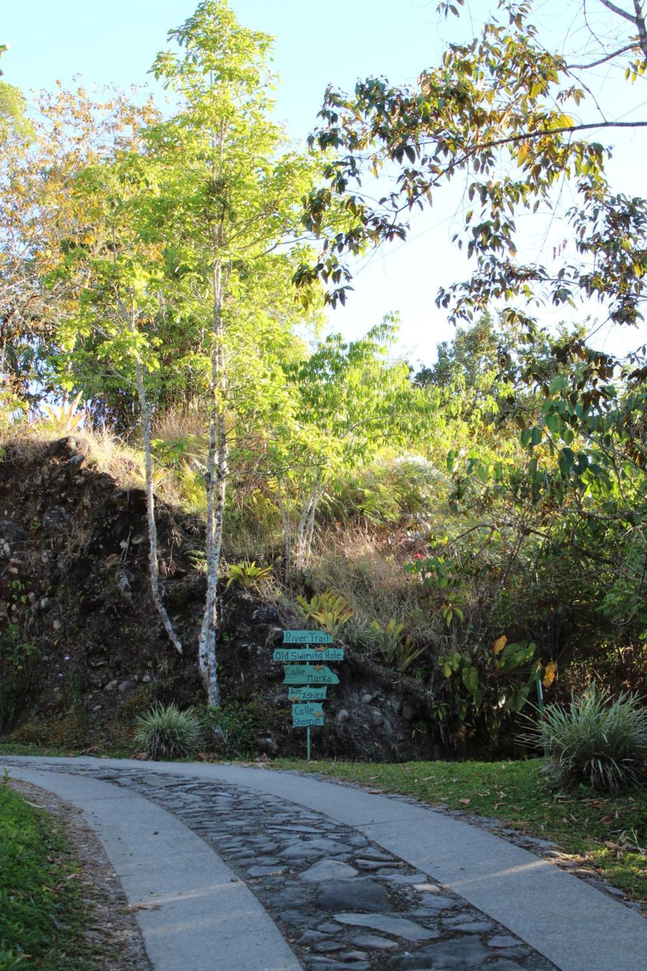Talamanca Nature Reserve Rivas Екстер'єр фото