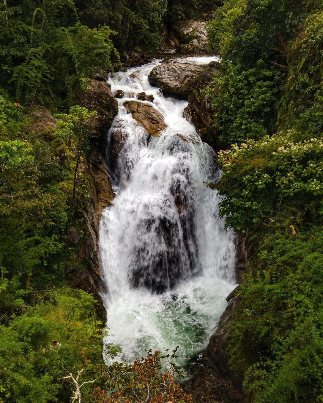 Talamanca Nature Reserve Rivas Екстер'єр фото