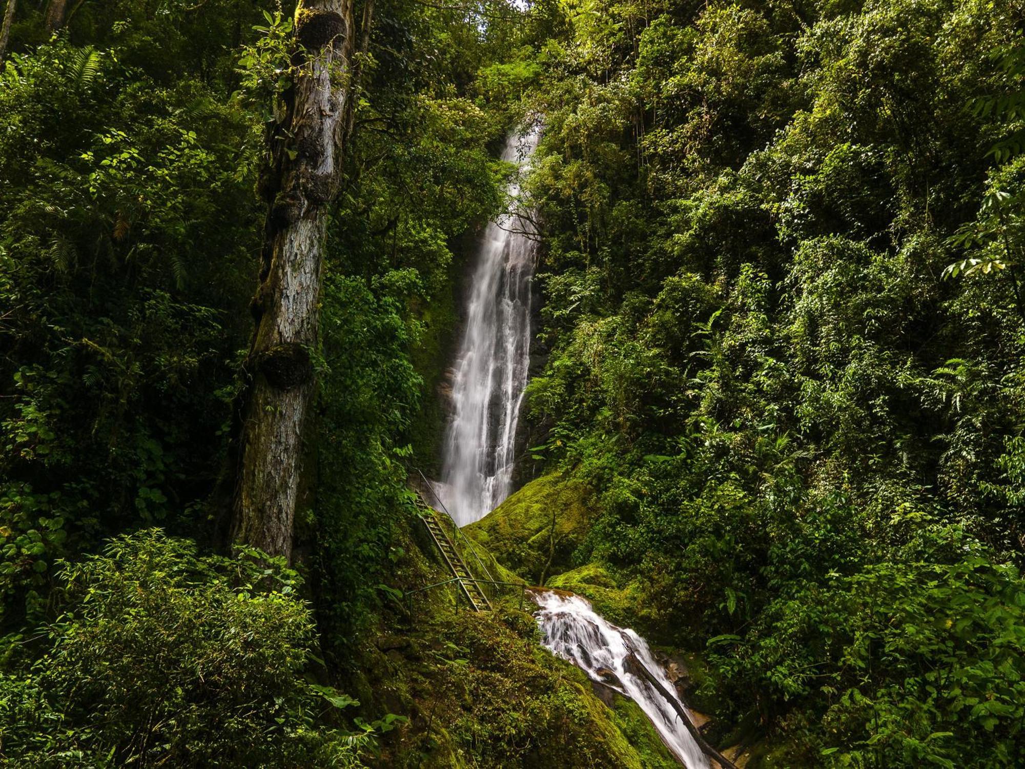 Talamanca Nature Reserve Rivas Екстер'єр фото
